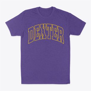 Dexter New York Trendy Block Classic Dad T-Shirt