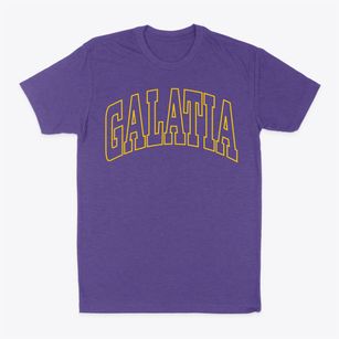 Galatia Illinois Trendy Block Classic Dad T-Shirt