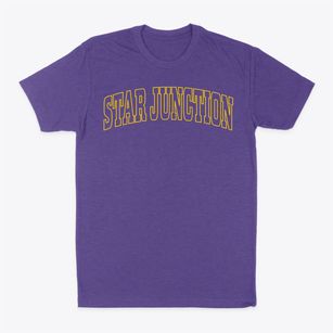 Star Junction Pennsylvania Trendy Block Classic Dad T-Shirt
