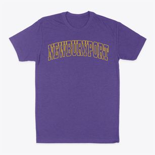 Newburyport Massachusetts Trendy Block Classic Dad T-Shirt