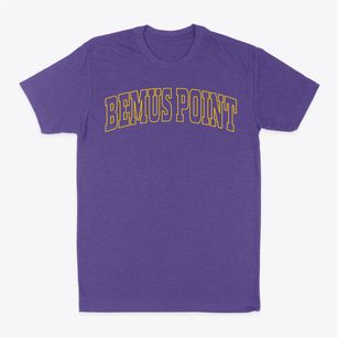 Bemus Point New York Trendy Block Classic Dad T-Shirt
