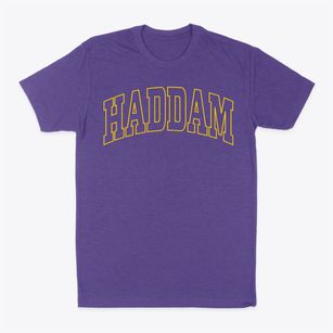 Haddam Connecticut Trendy Block Classic Dad T-Shirt