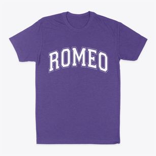 Romeo Michigan Varsity Classic Dad T-Shirt