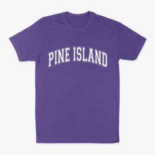 Pine Island Minnesota Varsity Classic Dad T-Shirt
