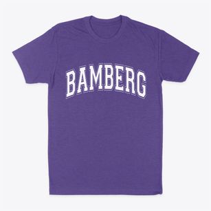 Bamberg South Carolina Varsity Classic Dad T-Shirt