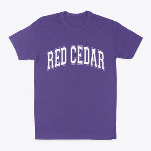 Red Cedar Wisconsin Varsity Classic Dad T-Shirt