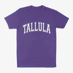 Tallula Illinois Varsity Classic Dad T-Shirt