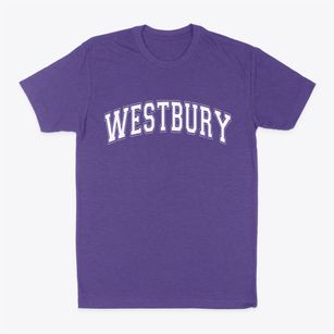 Westbury New York Varsity Classic Dad T-Shirt