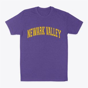 Newark Valley New York Varsity Classic Dad T-Shirt