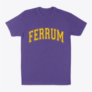 Ferrum Virginia Varsity Classic Dad T-Shirt
