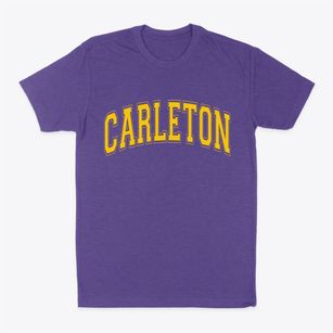 Carleton Michigan Varsity Classic Dad T-Shirt