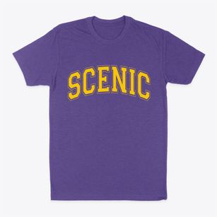 Scenic Arizona Varsity Classic Dad T-Shirt