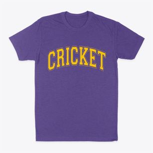 Cricket North Carolina Varsity Classic Dad T-Shirt