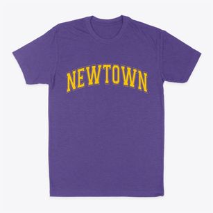 Newtown Connecticut Varsity Classic Dad T-Shirt