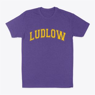 Ludlow Massachusetts Varsity Classic Dad T-Shirt