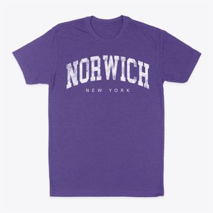 Norwich New York Urban Vibe Classic Dad T-Shirt