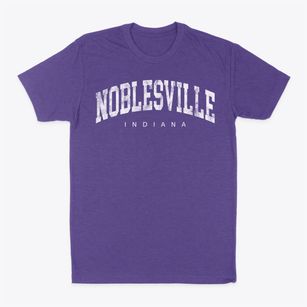 Noblesville Indiana Urban Vibe Classic Dad T-Shirt