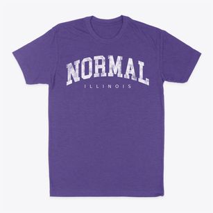 Normal Illinois Urban Vibe Classic Dad T-Shirt
