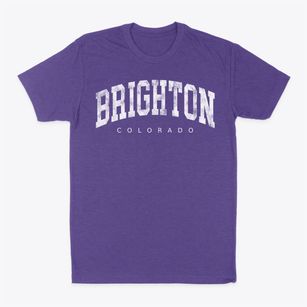 Brighton Colorado Urban Vibe Classic Dad T-Shirt