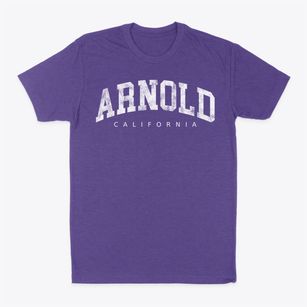 Arnold California Urban Vibe Classic Dad T-Shirt