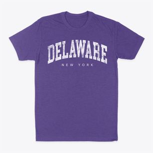 Delaware New York Urban Vibe Classic Dad T-Shirt