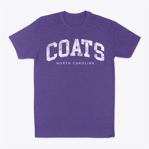 Coats North Carolina Urban Vibe Classic Dad T-Shirt