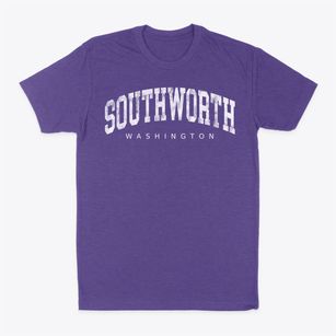 Southworth Washington Urban Vibe Classic Dad T-Shirt