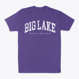 Big Lake Washington Urban Vibe Classic Dad T-Shirt