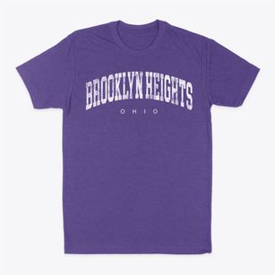 Brooklyn Heights Ohio Urban Vibe Classic Dad T-Shirt