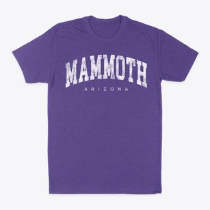 Mammoth Arizona Urban Vibe Classic Dad T-Shirt