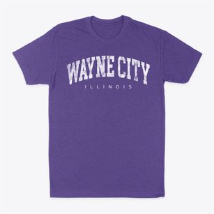 Wayne City Illinois Urban Vibe Classic Dad T-Shirt