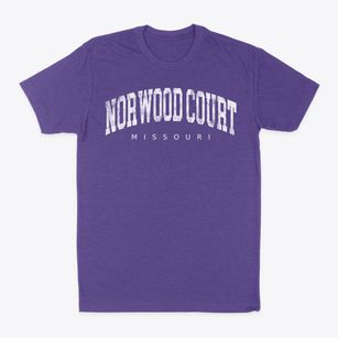 Norwood Court Missouri Urban Vibe Classic Dad T-Shirt