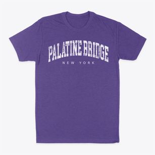 Palatine Bridge New York Urban Vibe Classic Dad T-Shirt