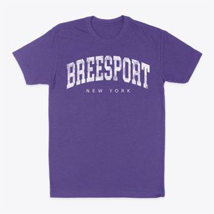 Breesport New York Urban Vibe Classic Dad T-Shirt