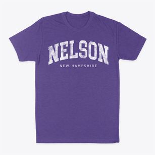 Nelson New Hampshire Urban Vibe Classic Dad T-Shirt