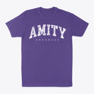 Amity Arkansas Urban Vibe Classic Dad T-Shirt