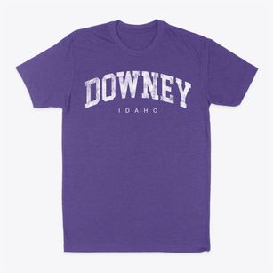Downey Idaho Urban Vibe Classic Dad T-Shirt
