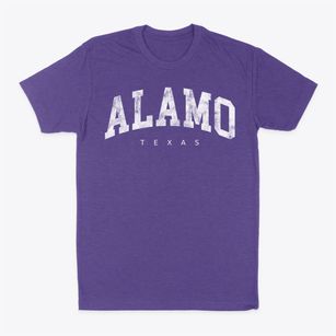 Alamo Texas Urban Vibe Classic Dad T-Shirt