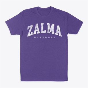 Zalma Missouri Urban Vibe Classic Dad T-Shirt