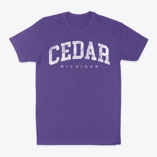 Cedar Michigan Urban Vibe Classic Dad T-Shirt