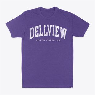 Dellview North Carolina Urban Vibe Classic Dad T-Shirt