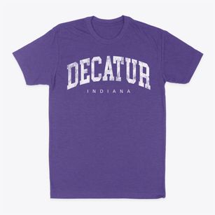 Decatur Indiana Urban Vibe Classic Dad T-Shirt