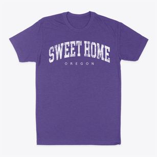 Sweet Home Oregon Urban Vibe Classic Dad T-Shirt