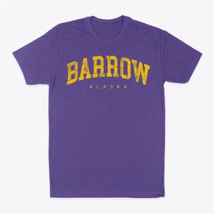 Barrow Alaska Urban Vibe Classic Dad T-Shirt