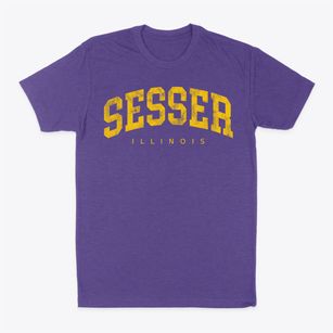 Sesser Illinois Urban Vibe Classic Dad T-Shirt