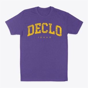 Declo Idaho Urban Vibe Classic Dad T-Shirt