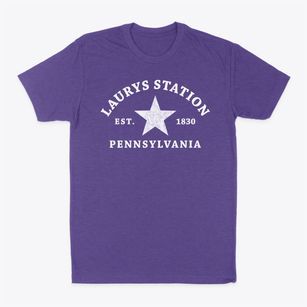 Laurys Station Pennsylvania Star Classic Dad T-Shirt