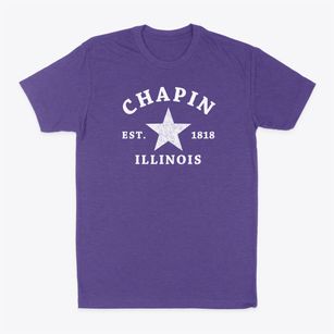 Chapin Illinois Star Classic Dad T-Shirt