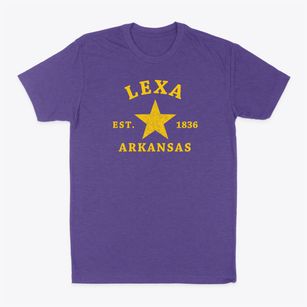 Lexa Arkansas Star Classic Dad T-Shirt