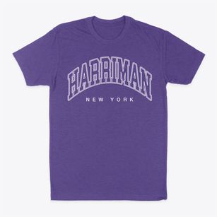 Harriman New York Inline Classic Dad T-Shirt